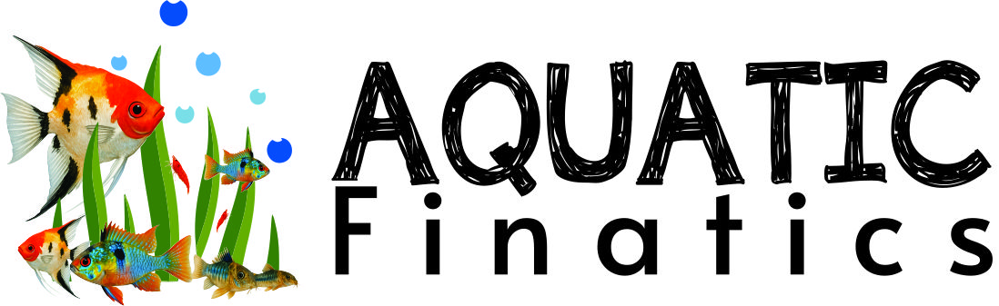 Logo Long